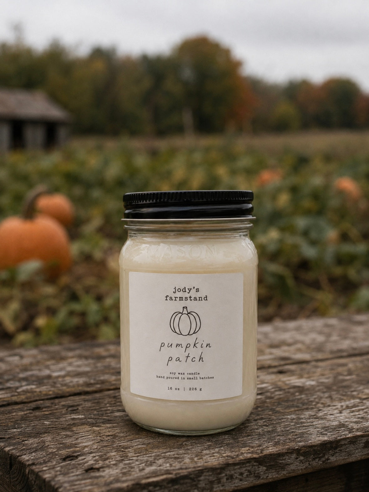 Pumpkin Patch Soy Candle